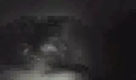 Kardeş adult konulu film