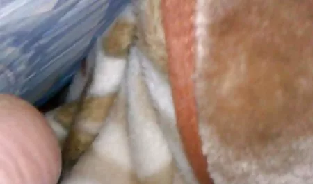Kadın dildo sahte taksi seksi lezbiyen bebek türkçe altyazılı yetişkin dövme yapar